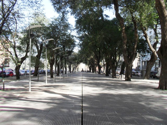 Cantero Central Azucena Villaflor