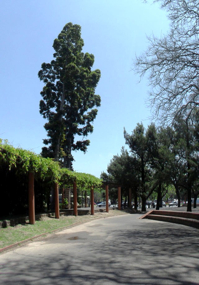 Parque Deportivo Jorge Newbery