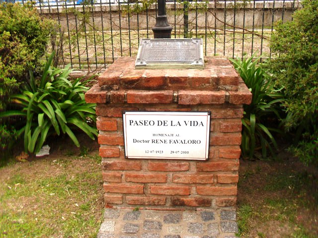 Plaza Paseo de la Vida, Rene Favaloro