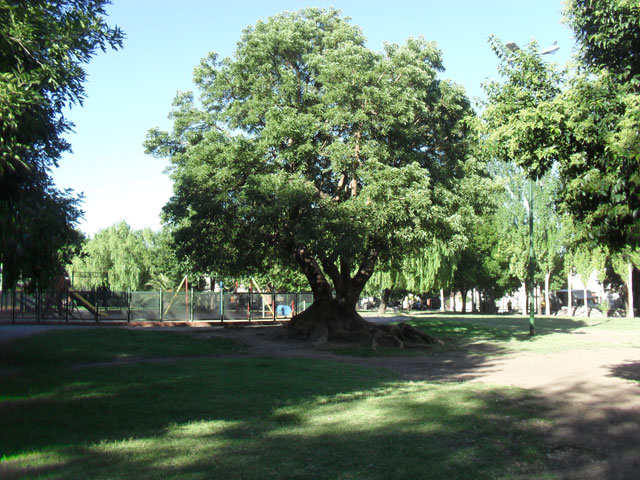 Plaza Villa Real