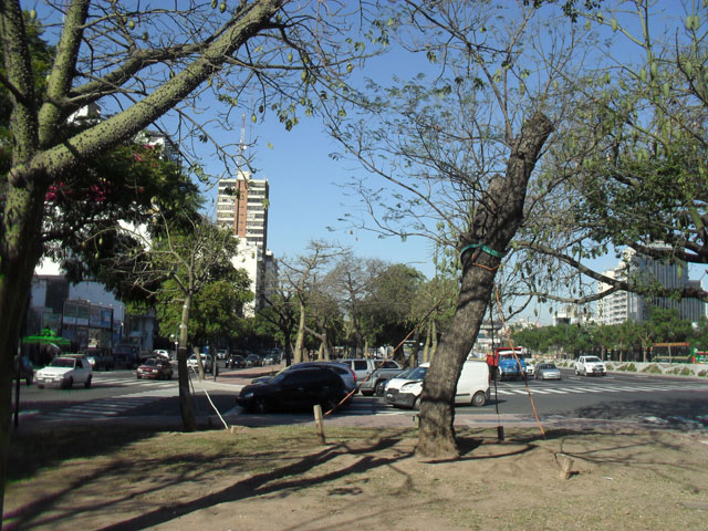 Plaza Concepcion del Alto de San Pedro