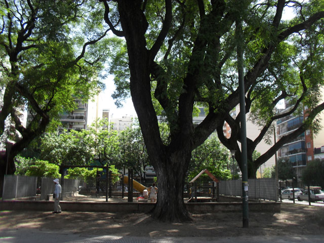 Plaza Echeverria