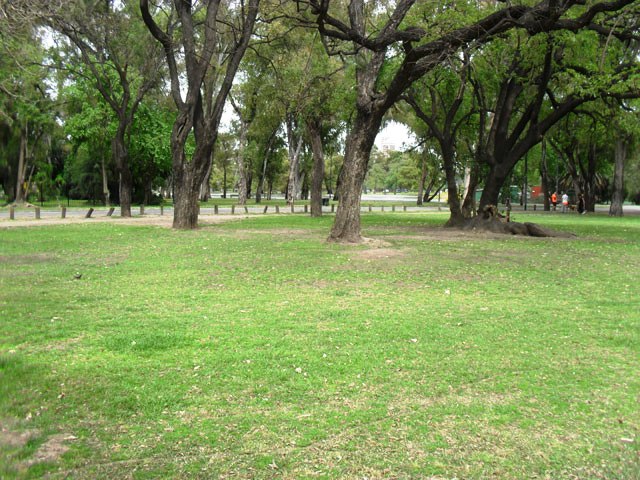Plaza Fray Mocho