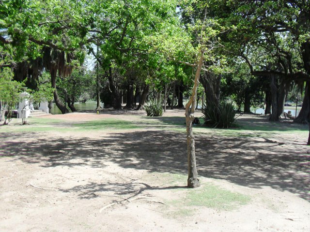 ROSEDAL DE PALERMO EN BUENOS AIRES