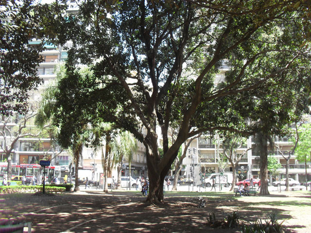 Plaza Intendente Casares