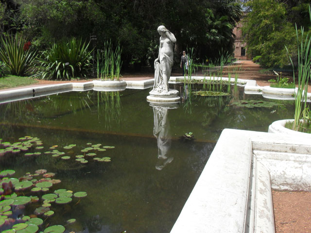Ondina del plata en Jardin Botanico Carlos Thays