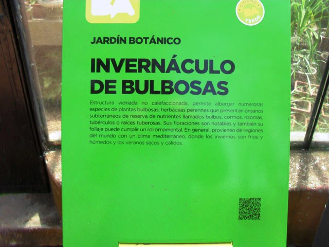 Invernaculo de bulbosas en Jardin Botanico Carlos Thays
