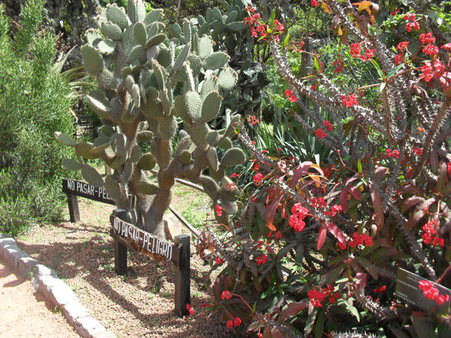 Jardin de mariposas en el Botanico Carlos Thays