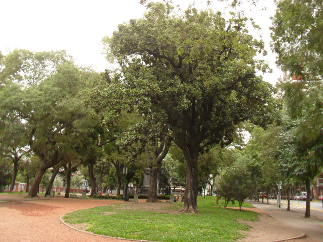 Plaza Juan Jose Paso