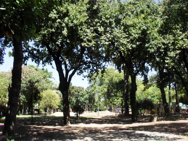 Plaza Monseñor Fermin Lafitte