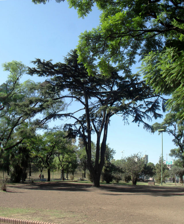 Plaza Nicolas Granada