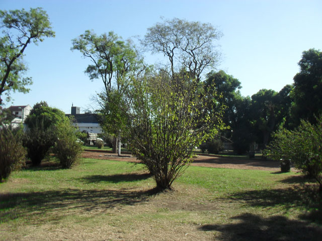 Plaza Nicolas Granada