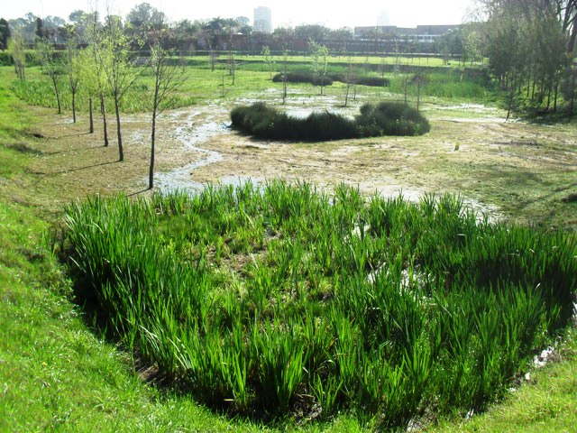 Parque Sarmiento