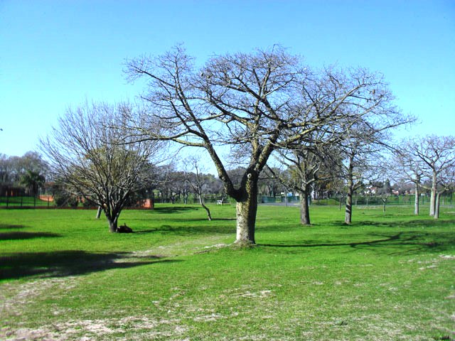 Parque Sarmiento