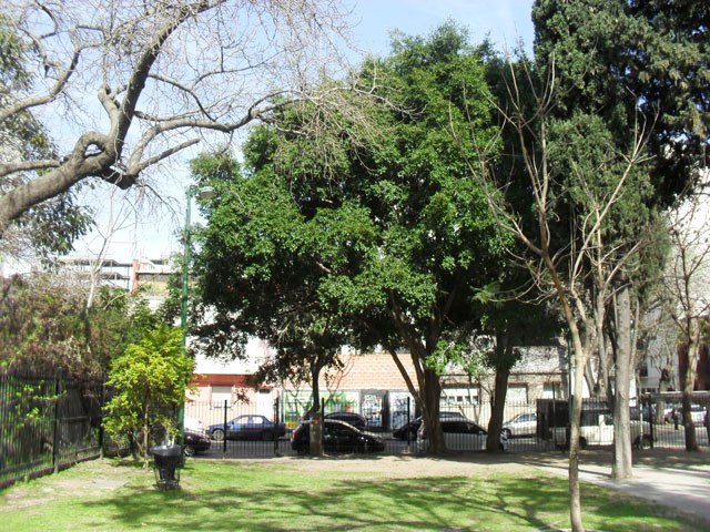 Patio Recreativo del Niño