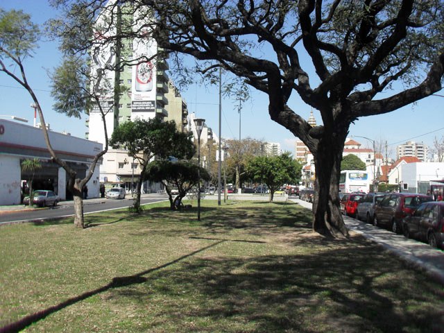 Cantero Central Regis Martinez