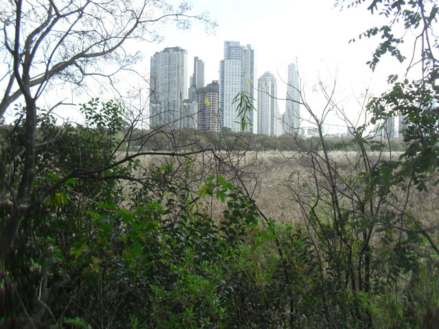 Reserva Ecologica de Buenos Aires