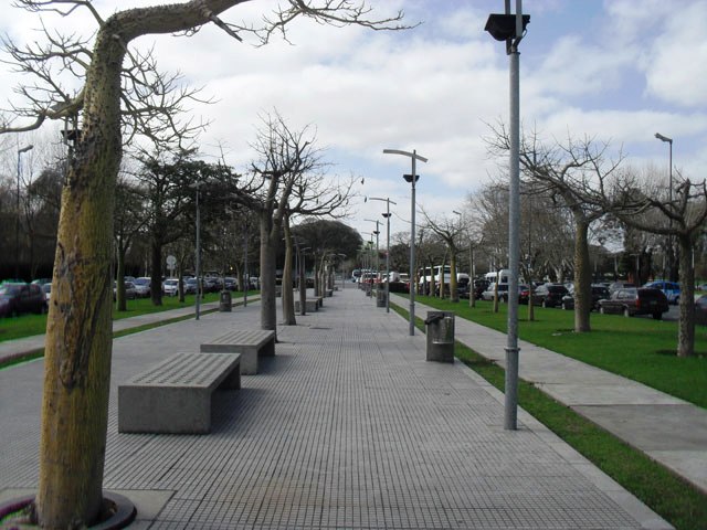 Cantero Central Rosario Vera Peñaloza