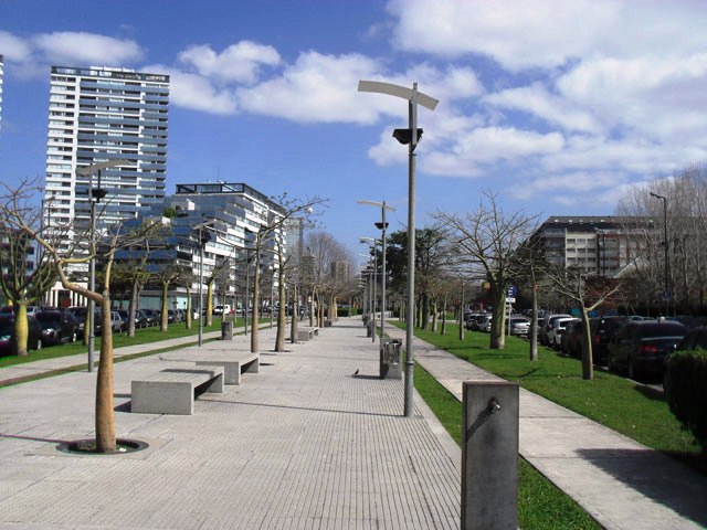 Cantero Central Rosario Vera Peñaloza