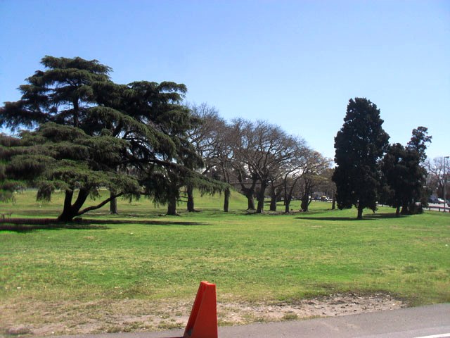 Parque San Benito
